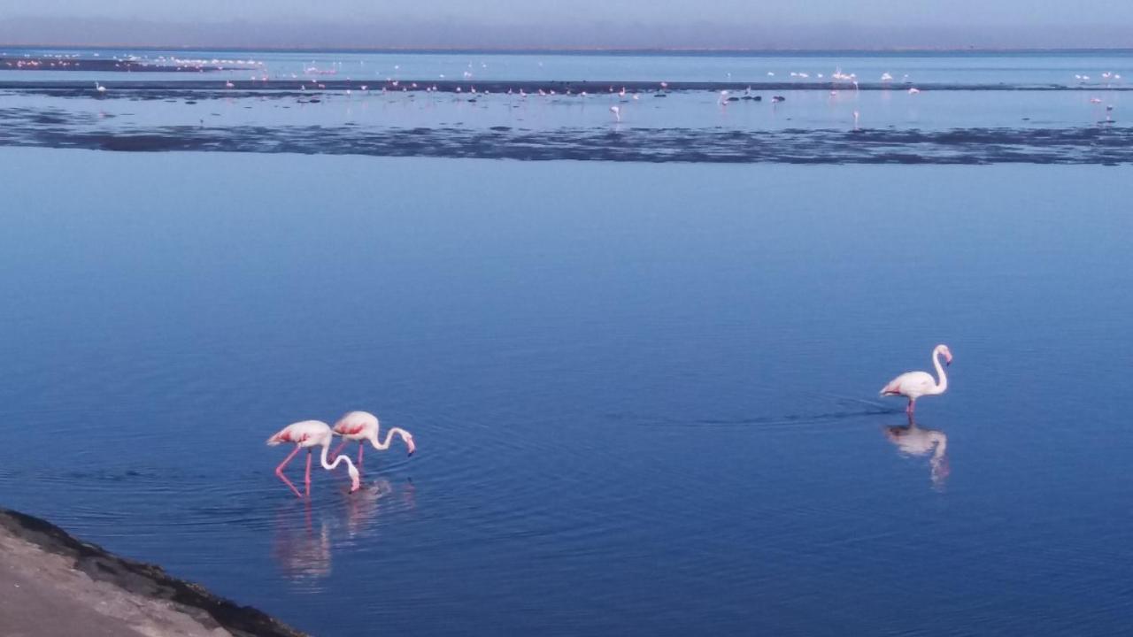 Haus Schaaf B&B Walvis Bay Eksteriør billede